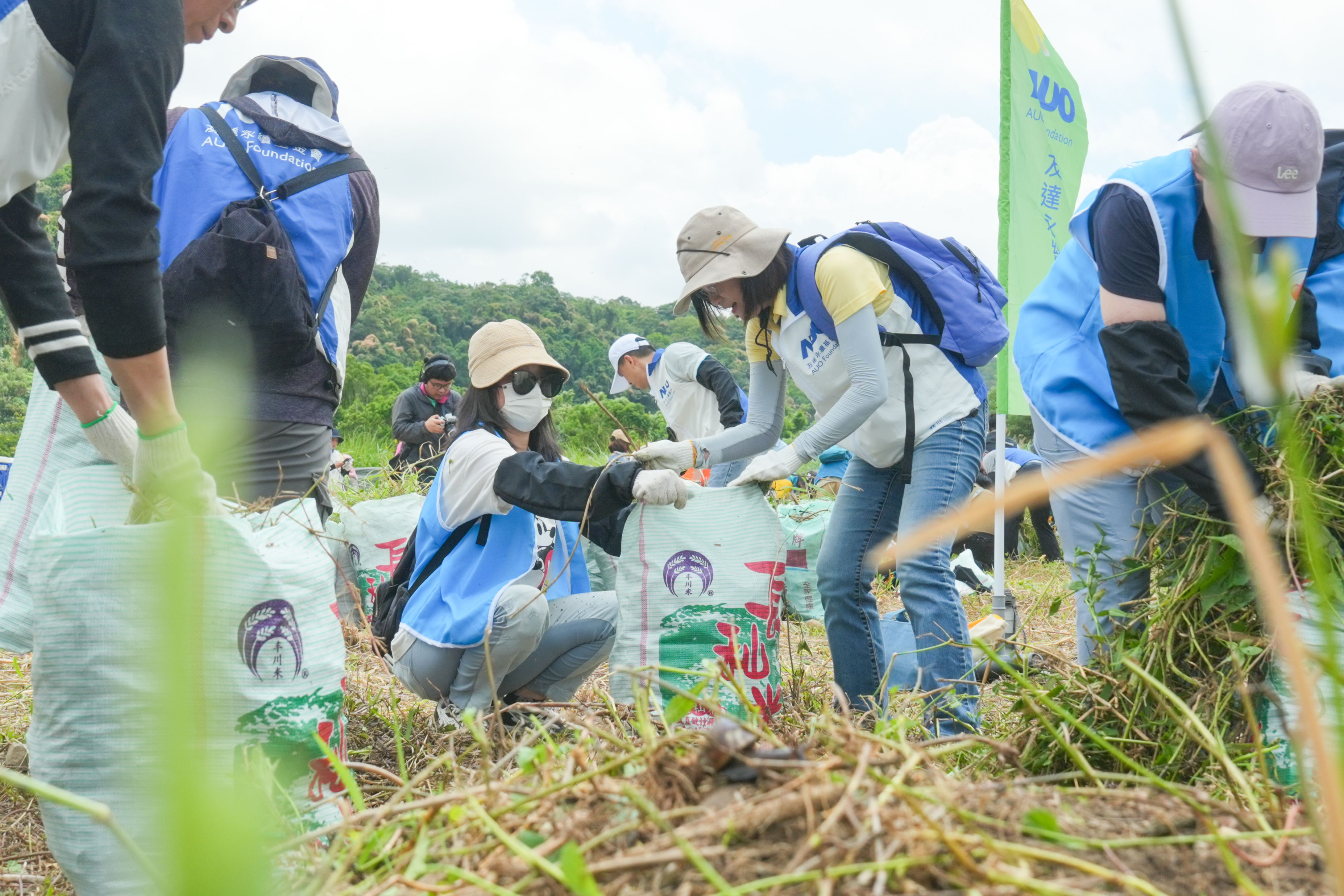 好博体育除蔓防治計畫，除了鎖定霄裡溪沿岸3.2公里移除外來入侵種小花蔓澤蘭，並進行物種與空拍調查，共記錄91科181屬239種維管束植物，顯示該區域具高度生態價值